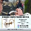 Solo truba, violina, harmonika, crkveni hor orkest potreba Muzika, svirke i nastupi
