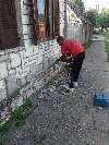 Na prodaju kompletna odgaivacnica francuskih buldo ponuda Kućni ljubimci