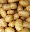 Krompir ponuda Poljoprivreda