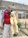 Zenka Kraljevske pudle izlozbeni kvalitet ponuda Kućni ljubimci