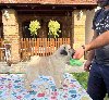 Stenci mopsa u ponudi ponuda Kućni ljubimci