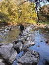 Šumadija ponuda On traži nju