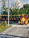 U potrazi za Devojkom! ponuda Bračne ponude
