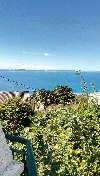 Split ponuda On traži nju