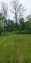 Zemljiste Bijeljina ponuda Placevi i zemljište Zemljiste Bijeljina ponuda Placevi i zemljište