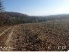 Plac 1 ha mesto  Slatina Opština Ub potreba Nekretnine inostranstvo
