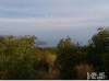 Plac 2640 m2 Pobori Budva ponuda Nekretnine inostranstvo