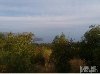 Plac  2640 m2  Pobori  Budva potreba Nekretnine inostranstvo