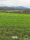 Plac  1,30 ha  Nemenikuće  Sopot potreba Nekretnine inostranstvo