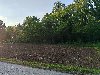 Prodajem plac na Fruskoj Gori ponuda Placevi i zemljište