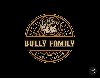 American bully exotic štenci ponuda Kućni ljubimci