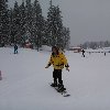 Gospodin trazi damu ponuda Upoznavanje i druženje
