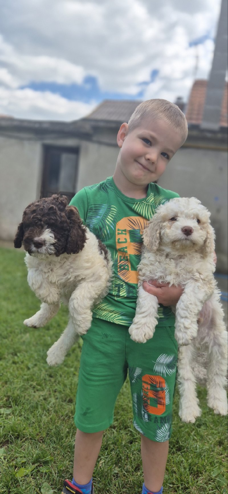 Stenci lagotto romagnolo Slika 