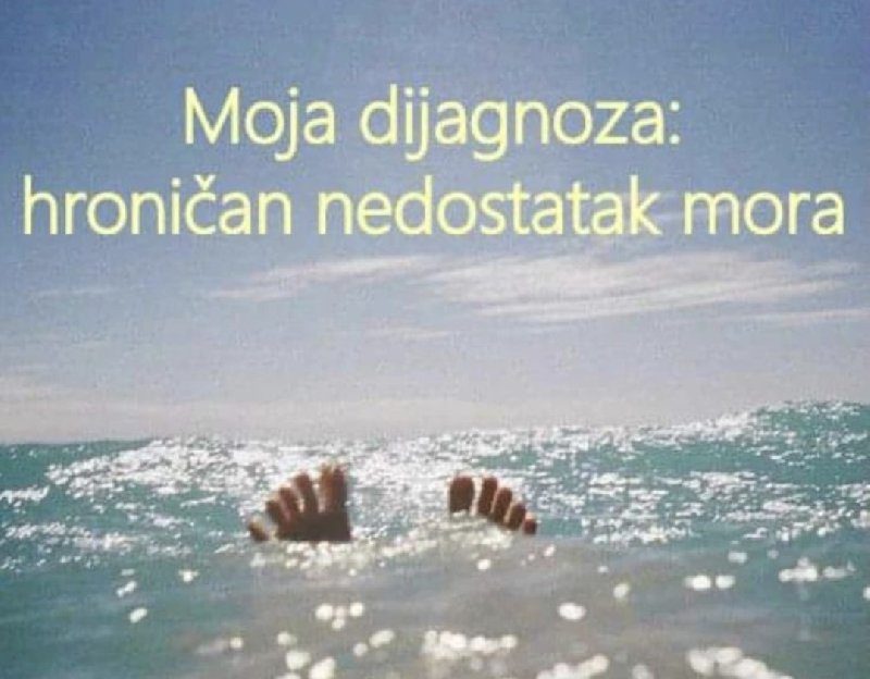 Zajedničko letovanje u Poreču Slika 