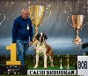 Bernardinac, štenci ponuda Kućni ljubimci