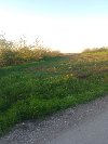 Plac 75 ari  Velika  Moštanica ponuda Nekretnine inostranstvo