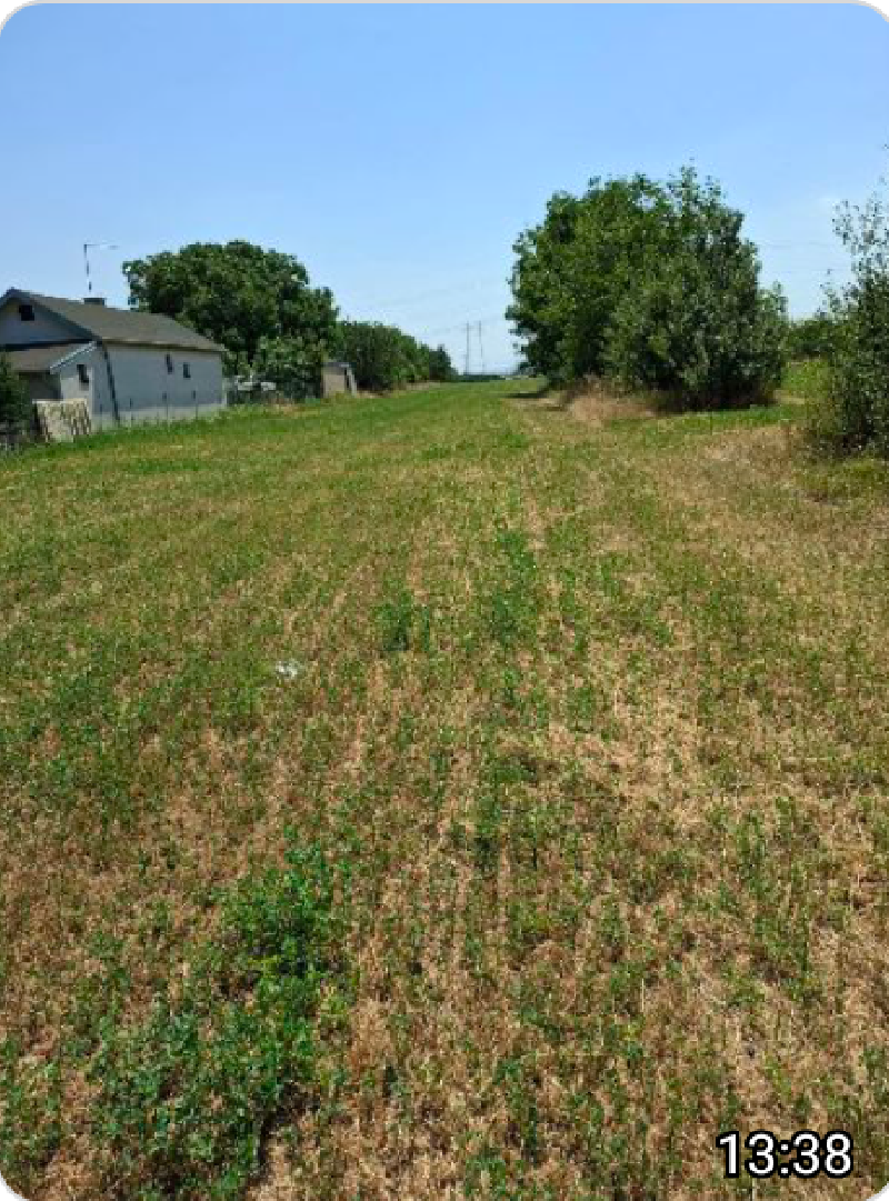 Kuća 150 m2 i plac 122 ara Pančevo Slika 