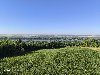 Plac 23 ara Slankamenački  vinogradi ponuda Placevi i zemljište