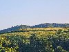 Za žensku osobu ako živi na selu,voli prirodu ponuda On traži nju
