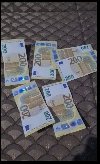Trazim devojku potreba On traži nju