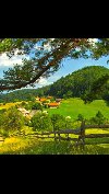 Za žensku osobu,a prednost ako živi na selu ponuda On traži nju