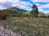 Plac Zlatibor selo Stublo ponuda Placevi i zemljište