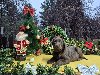 Labrador retriver čokoladni štenci ponuda Kućni ljubimci