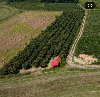 Plantaža  lešnika ponuda Placevi i zemljište