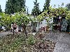 Prodaja Vikendica Zagradje Sutomore ponuda Kuće, vikendice, zgrade, objekti