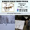 Solo truba, violina, harmonika, crkveni hor orkest ponuda Muzika, svirke i nastupi