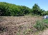Dva  placa  od  4 ara  Krčedin  Indjija ponuda Placevi i zemljište