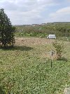 Plac  11,50 ari   Miljakovačke  staze  Beograd ponuda Placevi i zemljište