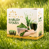 Barley Grass – Kesice ponuda Ostalo