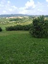 ATRAKTIVAN PLAC NA FRUŠKOJ GORI – IRIG / HOPOVO ponuda Placevi i zemljište