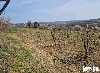 Gradjevinsko  zemljište  48 ari  Popović ponuda Kuće, vikendice, zgrade, objekti