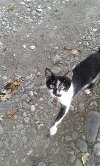Selo ponuda Bračne ponude