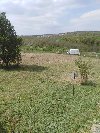 Plac  11,50 ari  Miljakovačke  staze  Rakovica ponuda Placevi i zemljište