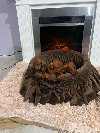 Patuljasti jazavičari kratkodlaki potreba Kućni ljubimci