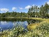 Tražim dominantnu devojku ponuda On traži nju
