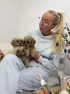 Maltipoo vrhunske genetike potreba Kućni ljubimci